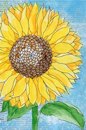 Sunflower Postcards